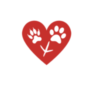 animalia mafia island